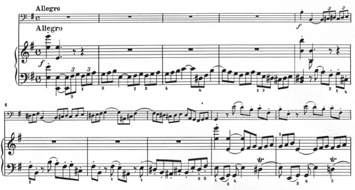 brahms38-3.jpg