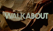 10 Walkabout